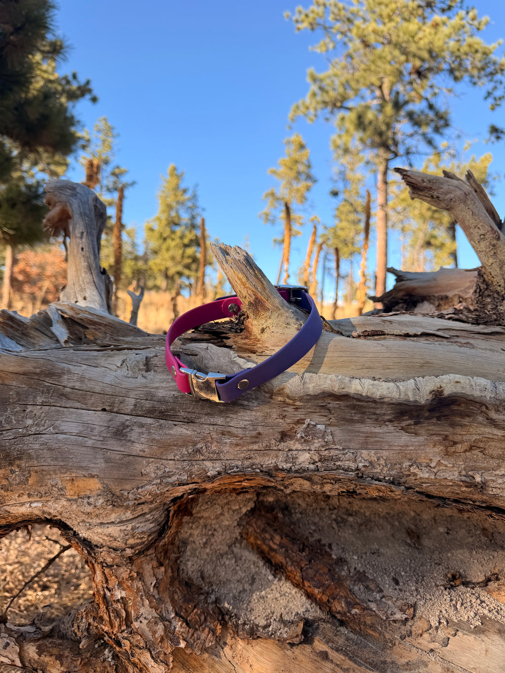 Adjustable Quick-Release Collar