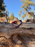 Adjustable Quick-Release Collar