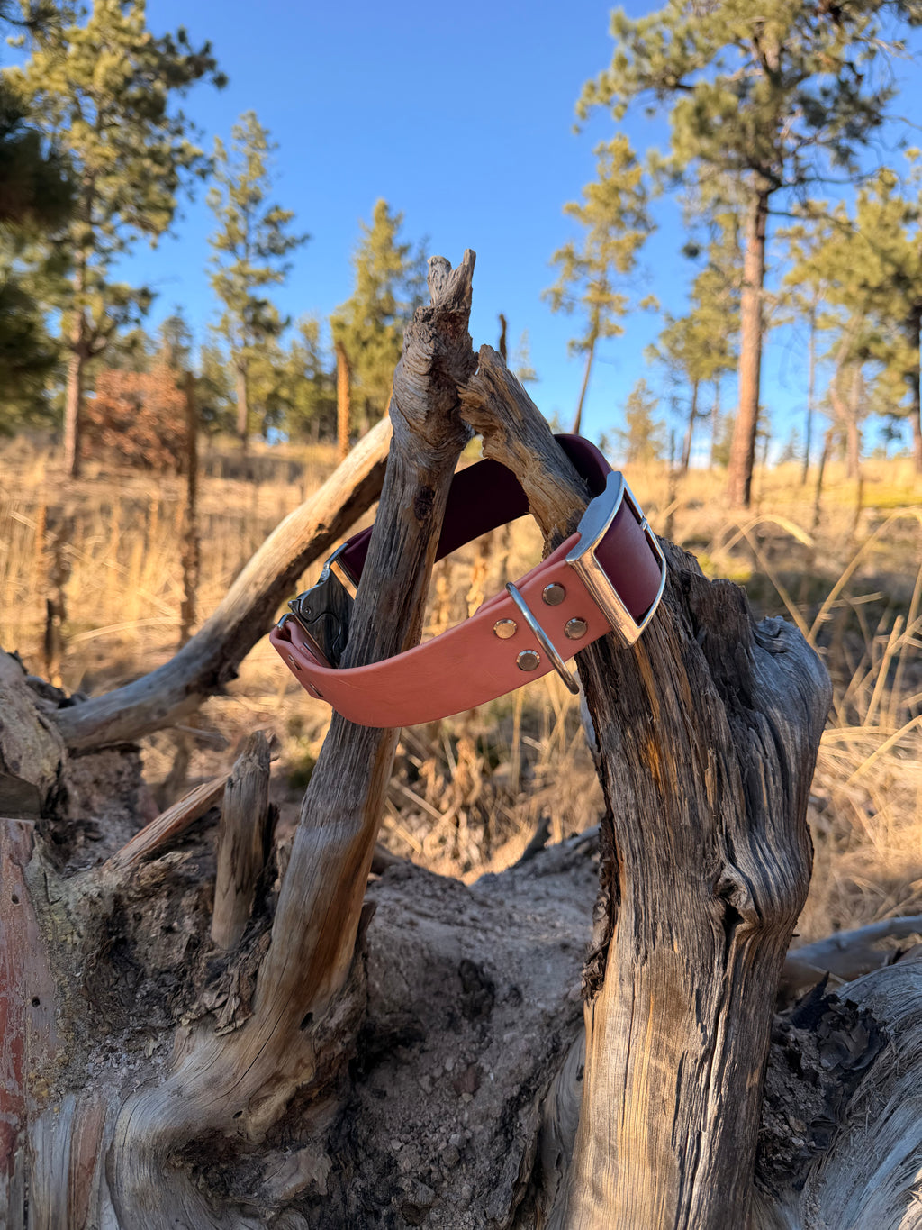 Adjustable Quick-Release Collar