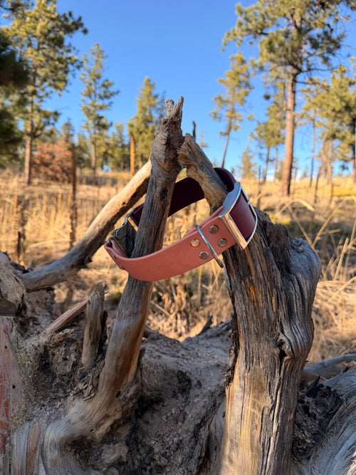 Adjustable Quick-Release Collar