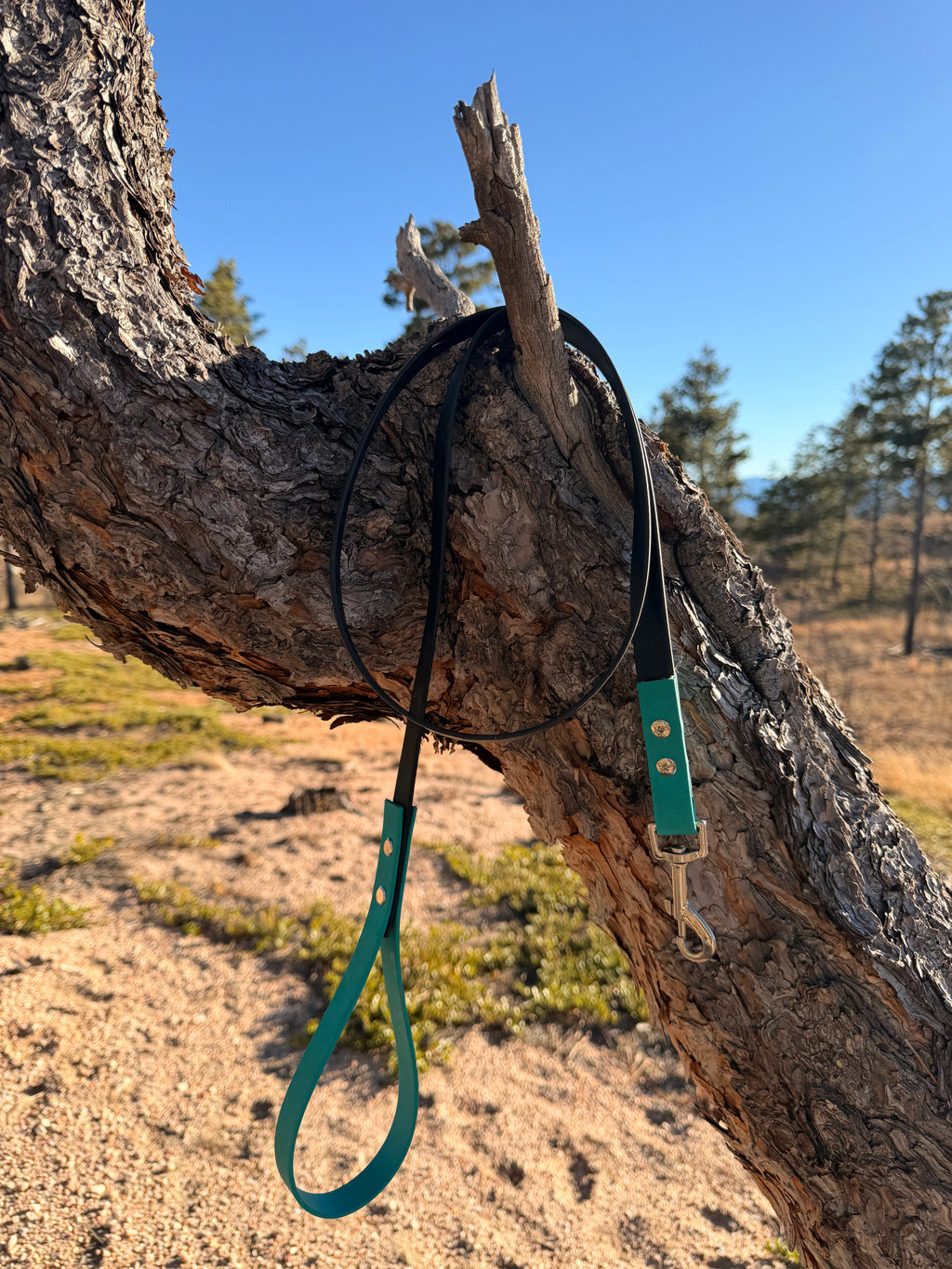 Standard Leash